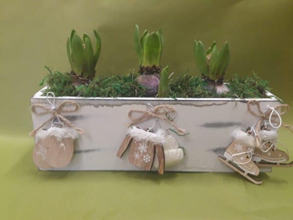 Hyacinth planter arrangement